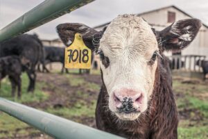 Kompenzációt igényelhetnek az agrárcégek a megnövekedett építőanyagárak miatt
