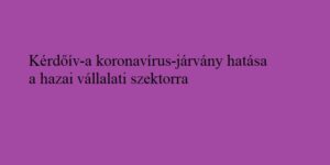 Anonim kérdőív, a válsághelyzet gazdasági következményeinek azonnali felmérésére