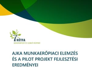 AJKA MUNKAERŐPIACI ELEMZÉS ÉS A PILOT PROJEKT FEJLESZTÉSI EREDMÉNYEI